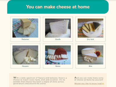 Homemade cheese project